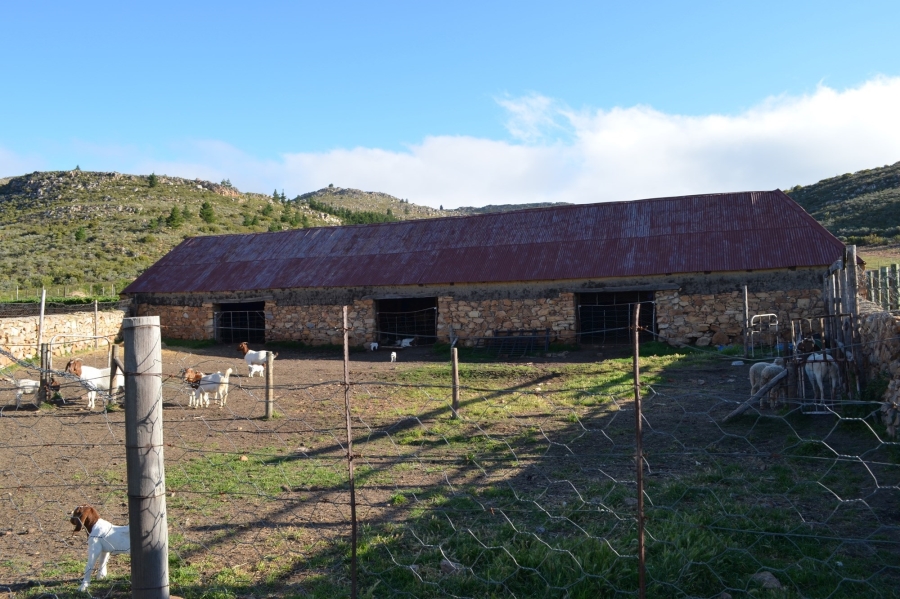 0 Bedroom Property for Sale in Uniondale Western Cape